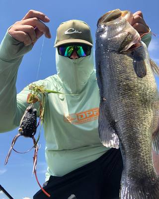 Drake Shop 40 Drake Shop -Drake Shop 1